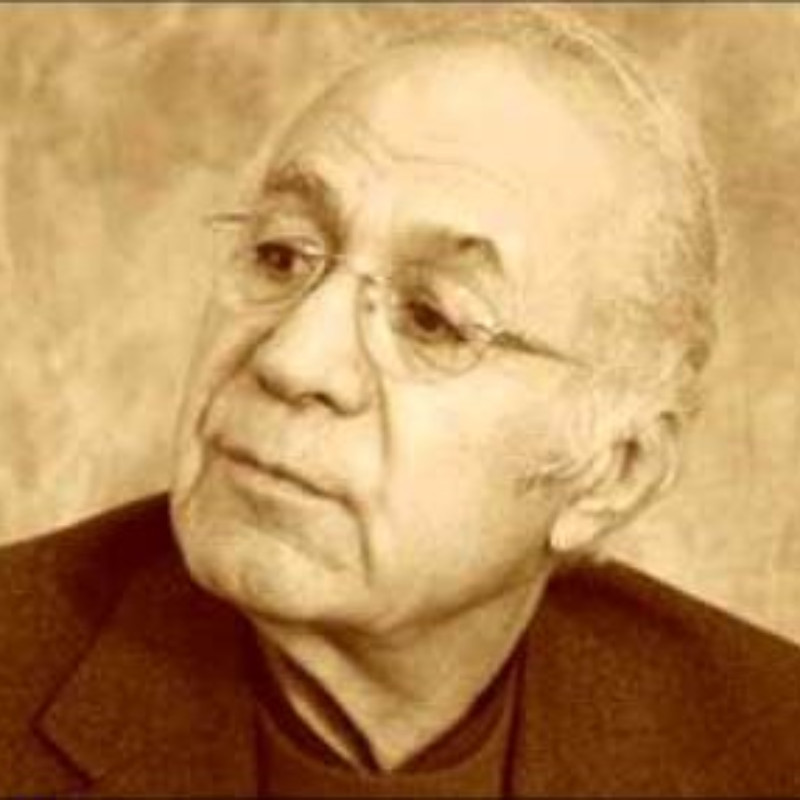 هۆمەر دزەیی